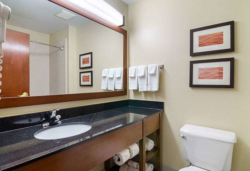 이그제큐티브 스위트, Comfort Inn & Suites