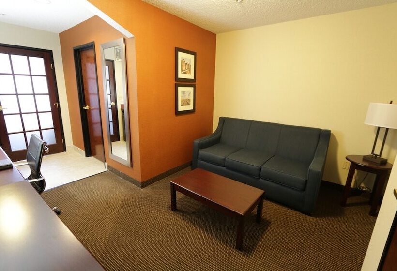 이그제큐티브 스위트, Comfort Inn & Suites