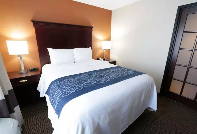 エクゼクティブスイート, Comfort Inn & Suites