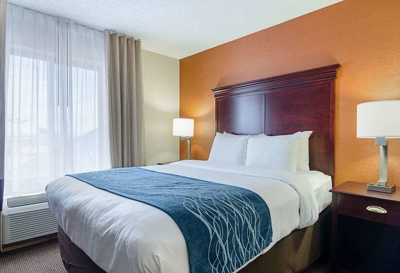 جناح إدارى, Comfort Inn & Suites