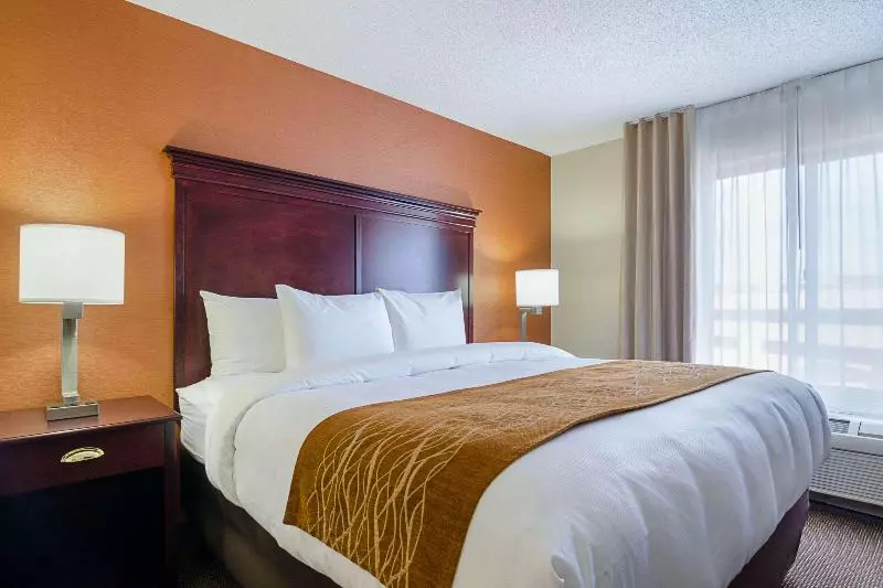 キングサイズベッドのスイートルーム, Comfort Inn & Suites