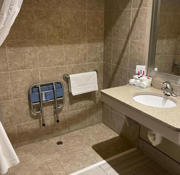 Люкс Адаптированный для Инвалидов, Stay Suites Formerly Known As Days Inn & Suites By Wyndham La Crosse Onalaska