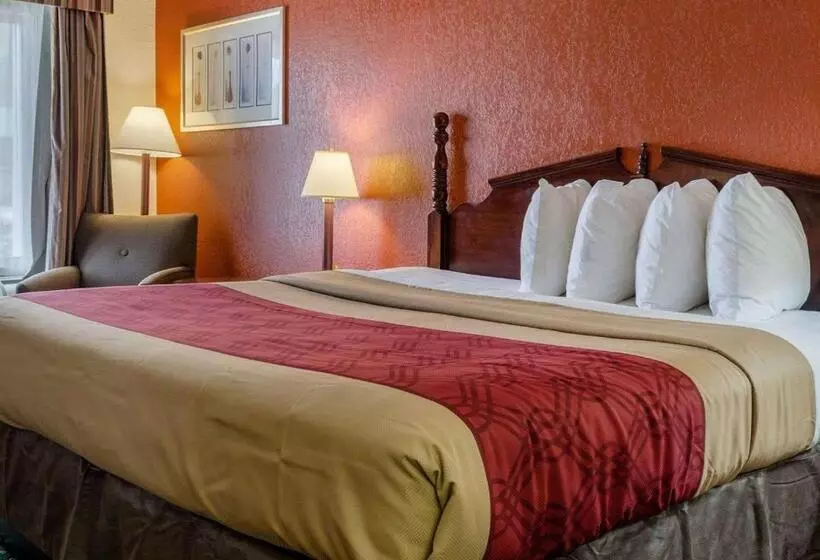 اتاق استاندارد با تخت بزرگ, Econo Lodge Inn & Suites
