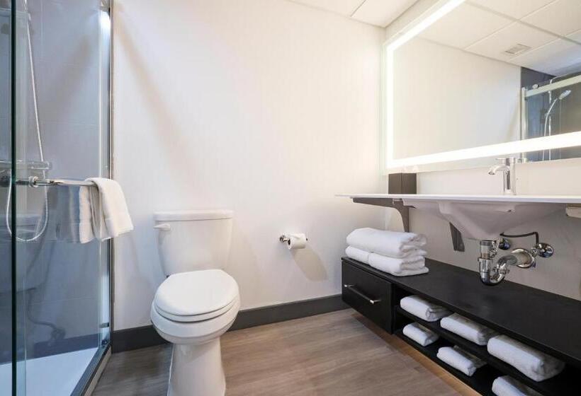 إستوديو قياسى سرير كينج, Gateway Hotel And Conference Center