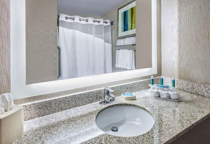 スイート, Holiday Inn Express Hotel And Suites Fort Worth/i 20