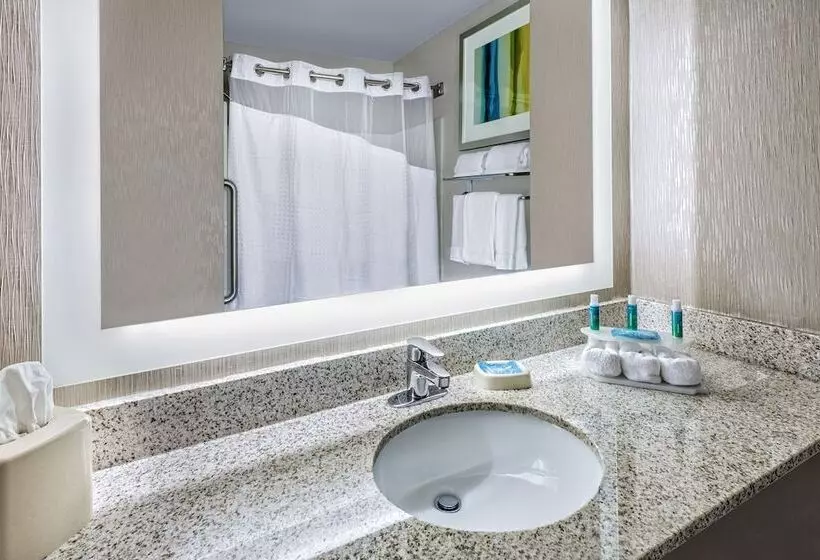 スタンダードルーム, Holiday Inn Express Hotel And Suites Fort Worth/i 20