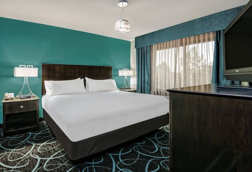 スタンダードルーム, Holiday Inn Express Hotel And Suites Fort Worth/i 20