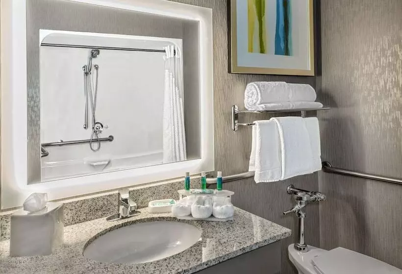 身障者適用スイートルーム, Holiday Inn Express Hotel And Suites Fort Worth/i 20