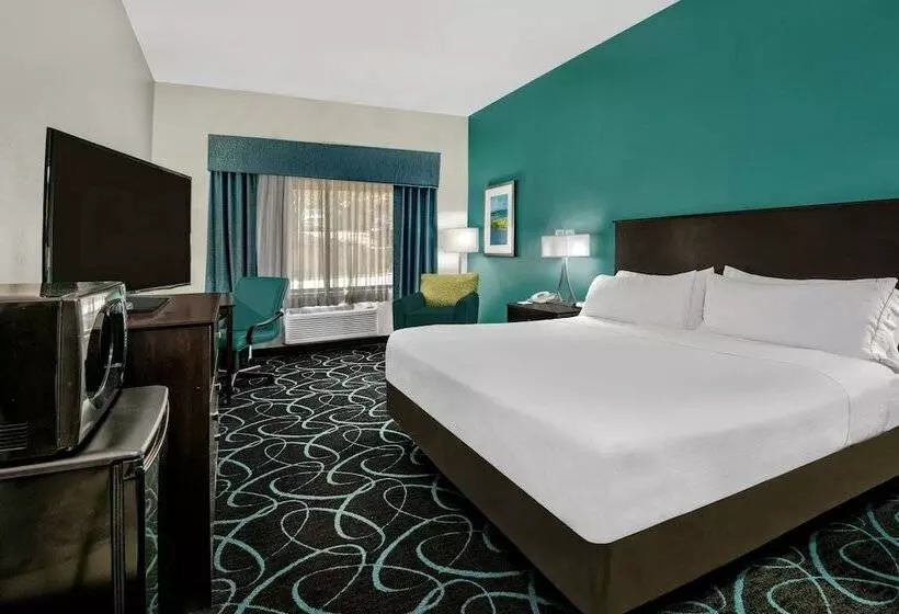 身障者適用スイートルーム, Holiday Inn Express Hotel And Suites Fort Worth/i 20
