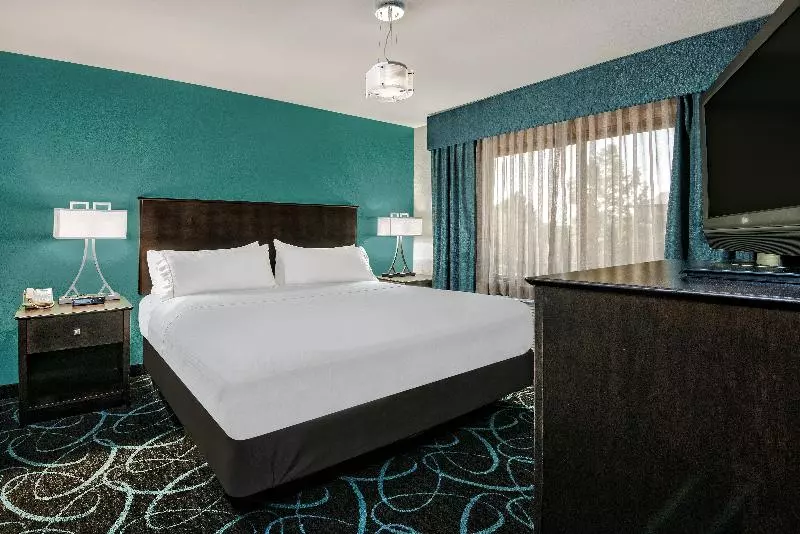 身障者適用キングサイズベッドルーム, Holiday Inn Express Hotel And Suites Fort Worth/i 20