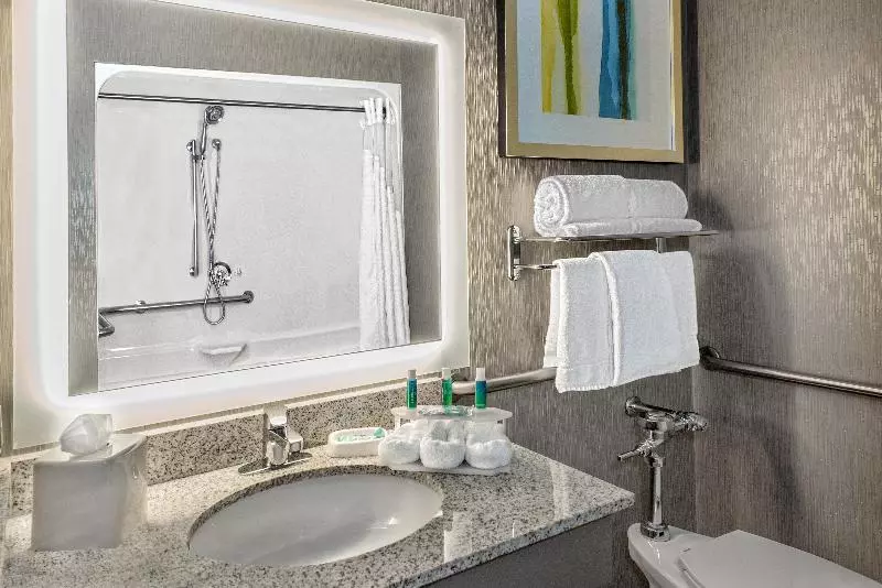 キングサイズベッドのスタンダードルーム, Holiday Inn Express Hotel And Suites Fort Worth/i 20