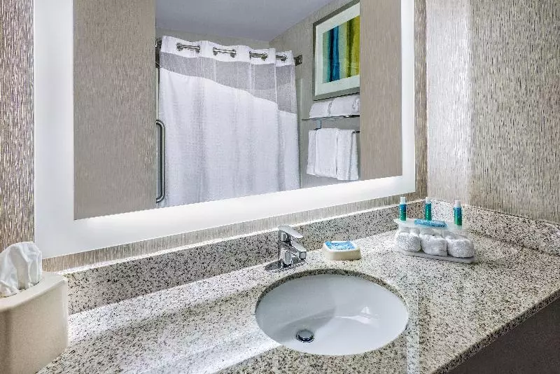 キングサイズベッドのスタンダードルーム, Holiday Inn Express Hotel And Suites Fort Worth/i 20