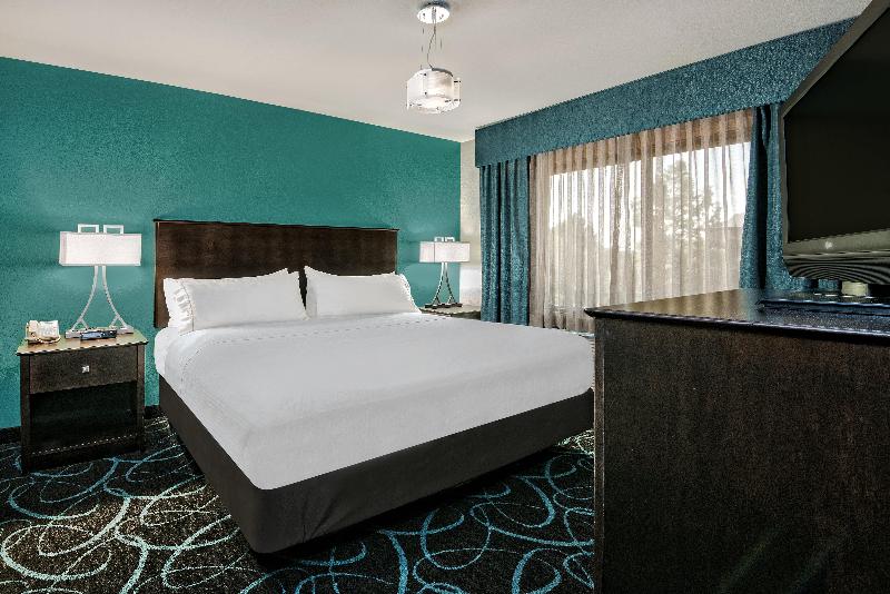 스탠다드 룸 킹사이즈 침대, Holiday Inn Express Hotel And Suites Fort Worth/i 20