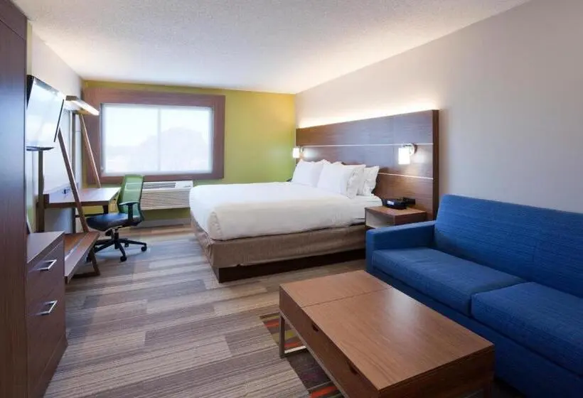 اتاق استاندارد با تخت بزرگ, Holiday Inn Express & Suites Minneapolis West End By Ihg