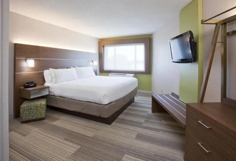 اتاق استاندارد با تخت بزرگ, Holiday Inn Express & Suites Minneapolis West End By Ihg