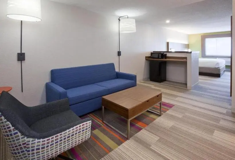 سوئیت با تخت بزرگ, Holiday Inn Express & Suites Minneapolis West End By Ihg