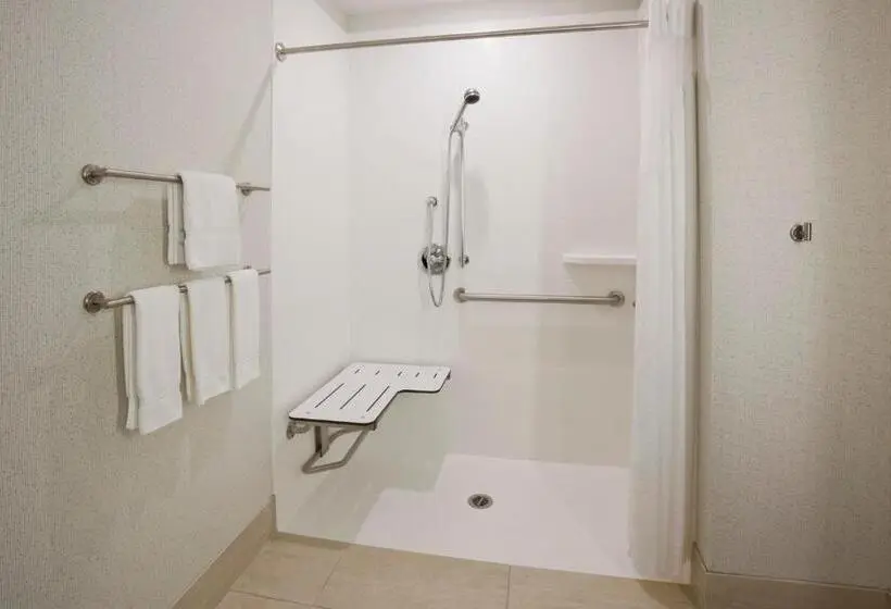 اتاق استاندارد با تخت بزرگ برای معلولان, Holiday Inn Express & Suites Minneapolis West End By Ihg