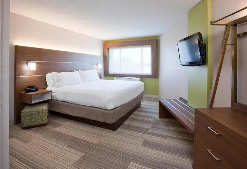 استودیو استاندارد با تخت کینگ, Holiday Inn Express & Suites Minneapolis West End By Ihg