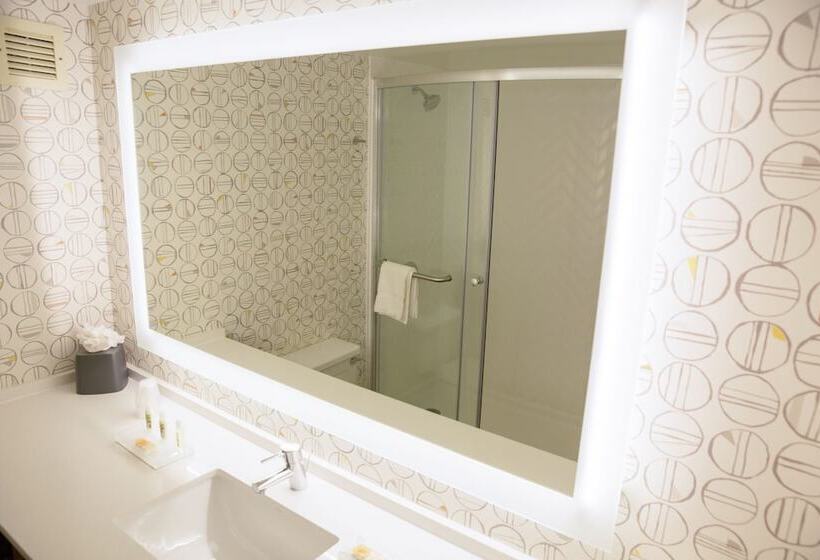 스탠다드 룸, Holiday Inn Orlando International Airport, An Ihg