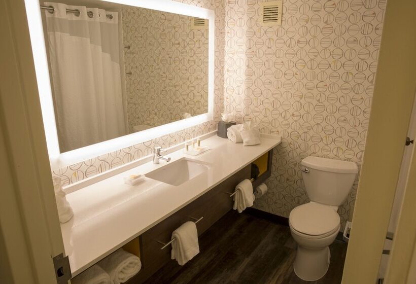 스탠다드 룸 더블 침대, Holiday Inn Orlando International Airport, An Ihg