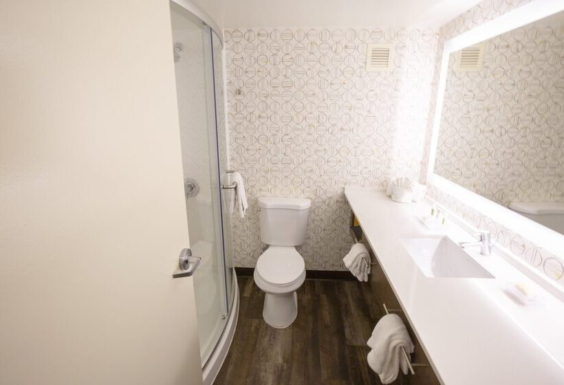 Номер Стандарт 2 Двуспальные Кровати, Holiday Inn Orlando International Airport, An Ihg