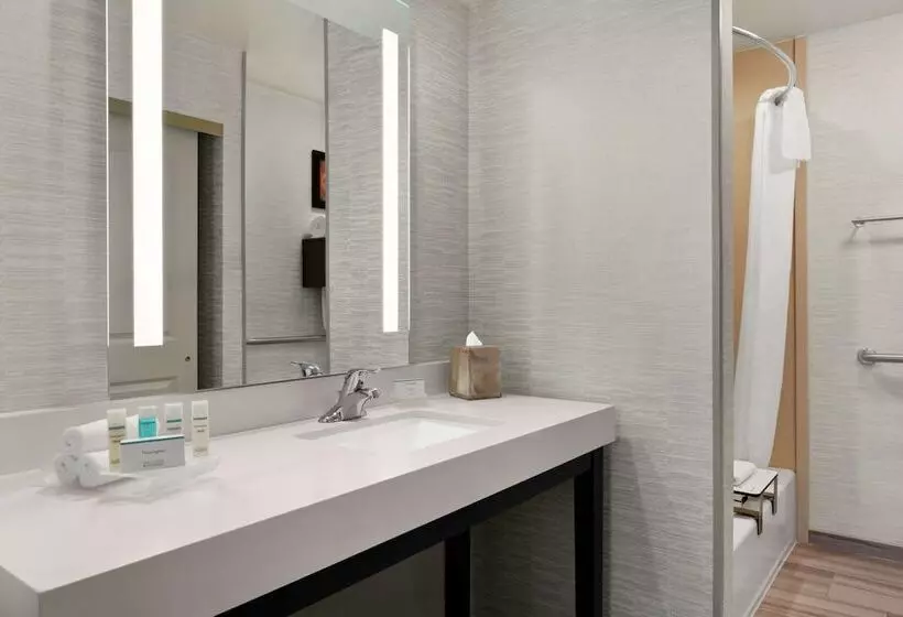 身障者適用スイートルーム, Addison Suites