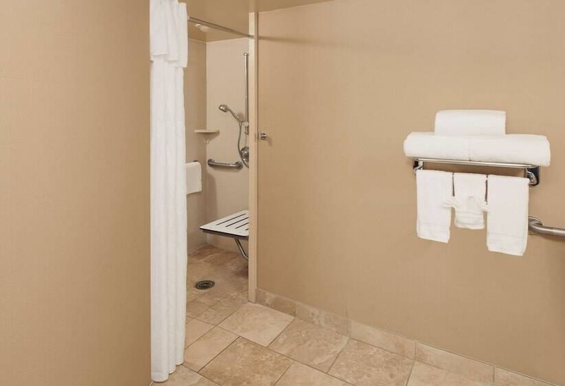 جناح لذوى الاحتياجات الخاصة, Homewood Suites By Hilton Indianapoliskeystone Crossing