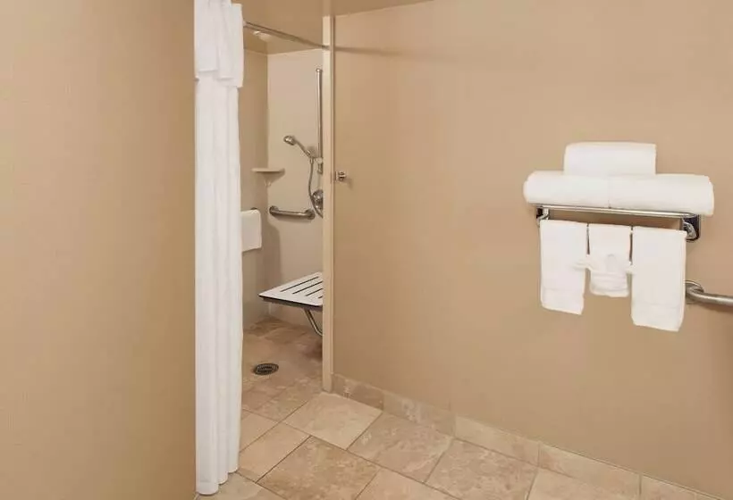 身障者適用スイートルーム, Homewood Suites By Hilton Indianapoliskeystone Crossing
