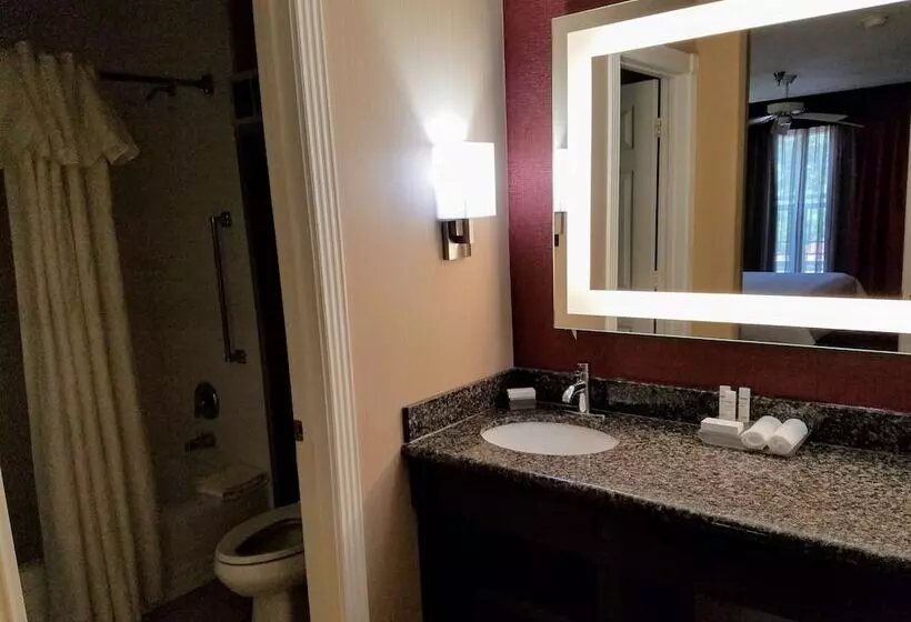 سوئیت 2 خوابه, Homewood Suites By Hilton Longview