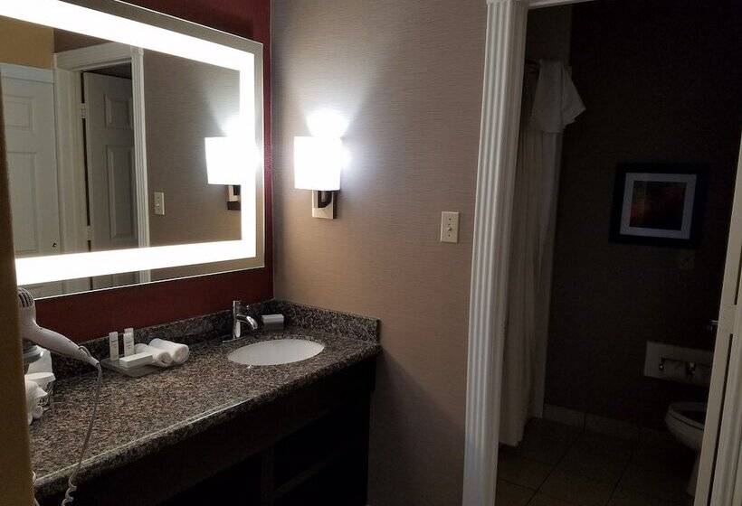 جناح غرفتين نوم, Homewood Suites By Hilton Longview