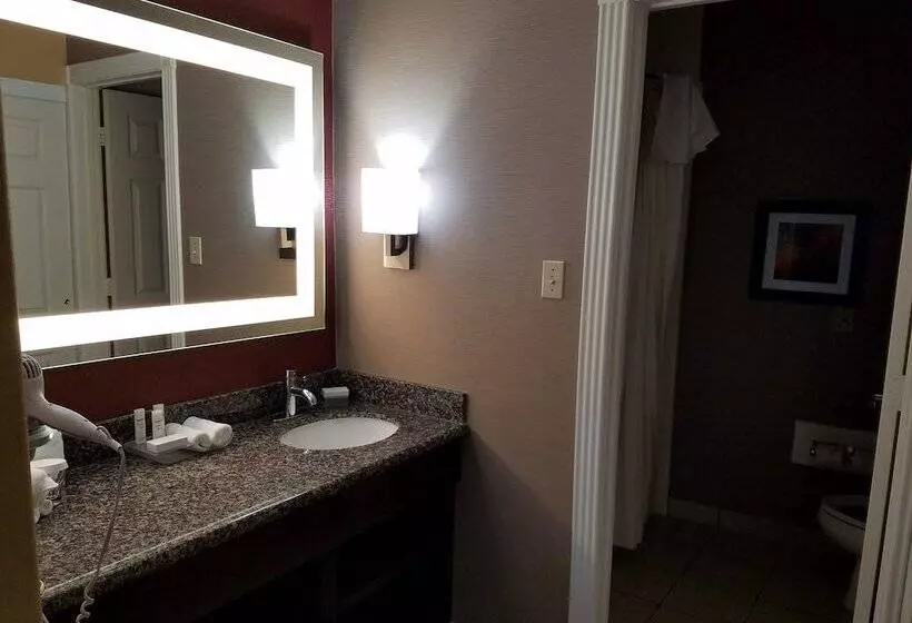 سوئیت 2 خوابه, Homewood Suites By Hilton Longview