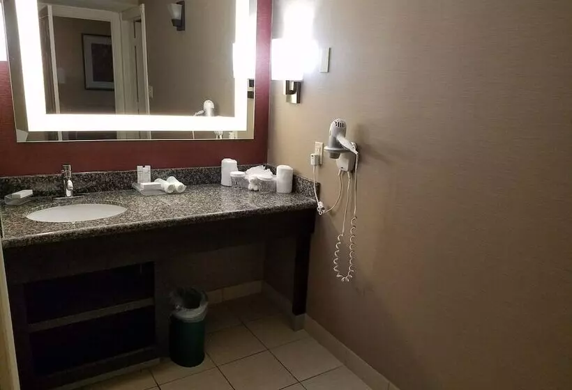 سوئیت 2 خوابه, Homewood Suites By Hilton Longview