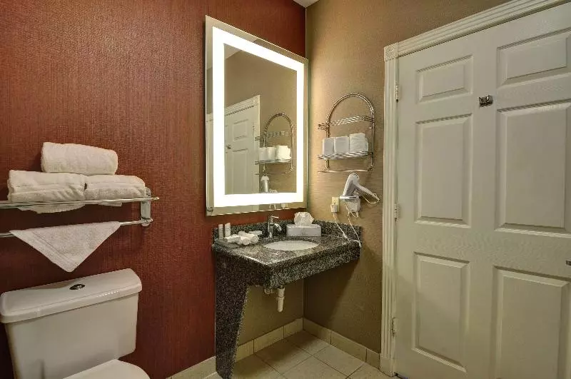 سوئیت با تخت بزرگ, Homewood Suites By Hilton Longview