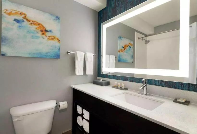 اتاق استاندارد, La Quinta By Wyndham Salem Or