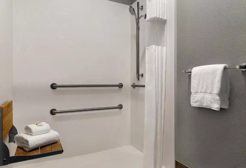 اتاق استاندارد برای معلولان, La Quinta By Wyndham Salem Or