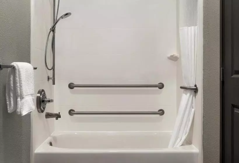 اتاق استاندارد با تخت بزرگ برای معلولان, La Quinta By Wyndham Salem Or