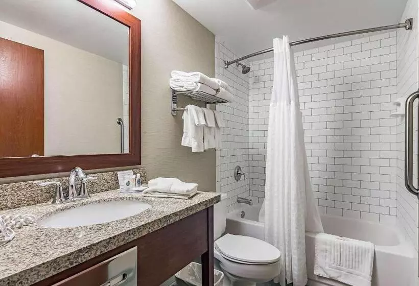 اتاق استاندارد با تخت بزرگ, Fairfield By Marriott Inn & Suites Madison South