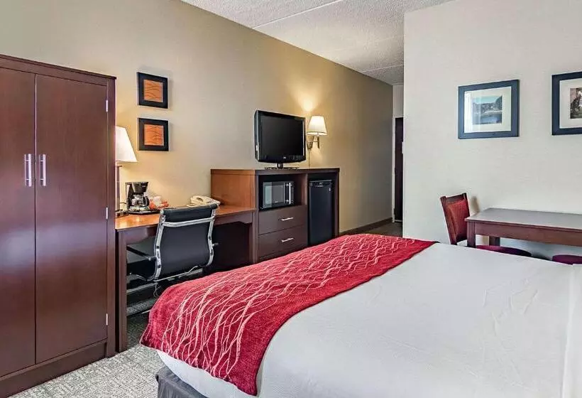 اتاق استاندارد با تخت بزرگ, Fairfield By Marriott Inn & Suites Madison South