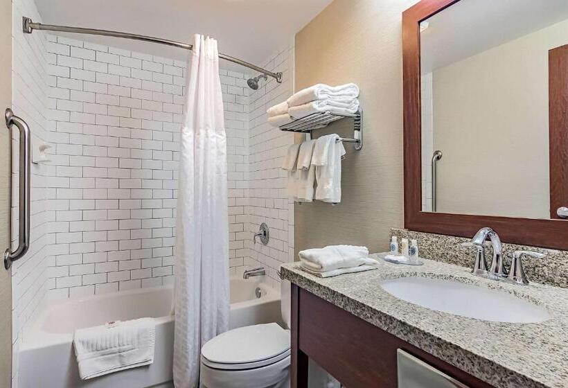 Стандартный Номер Кровать Кинг, Fairfield By Marriott Inn & Suites Madison South