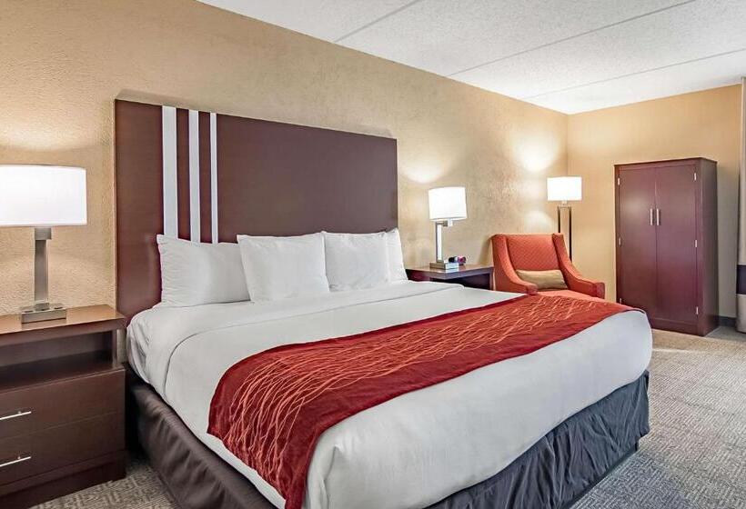 Стандартный Номер Кровать Кинг, Fairfield By Marriott Inn & Suites Madison South