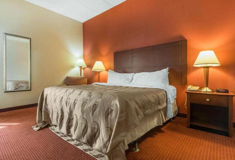 장애인을 위한 킹사이즈 침대 스탠다드 룸, Quality Inn & Suites