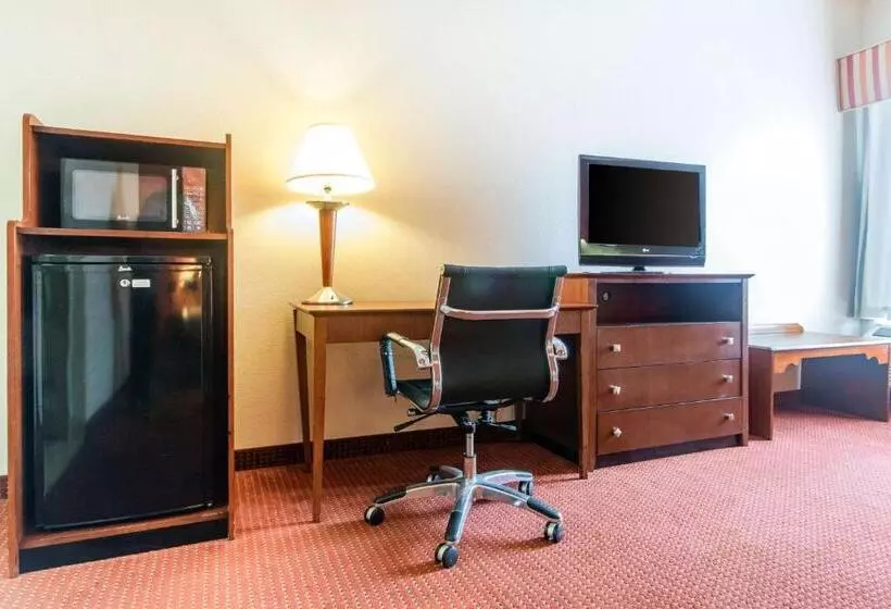 身障者適用キングサイズベッドルーム, Quality Inn & Suites