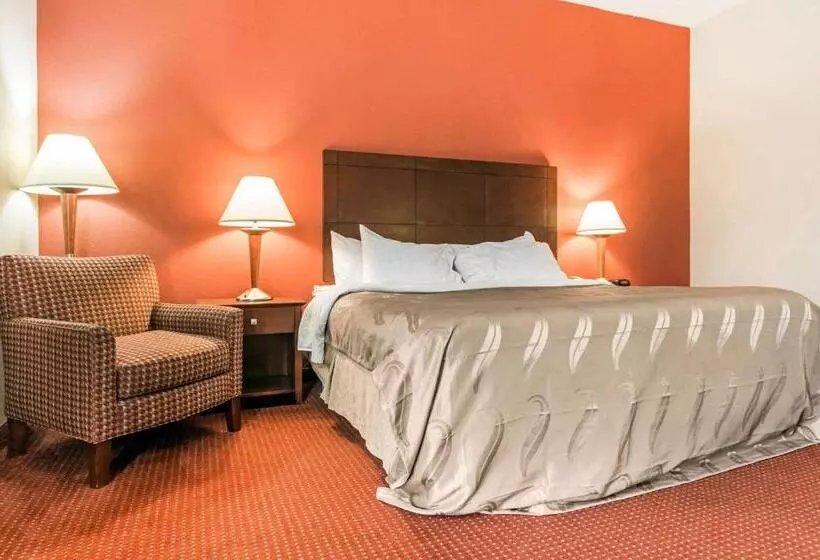 身障者適用キングサイズベッドルーム, Quality Inn & Suites