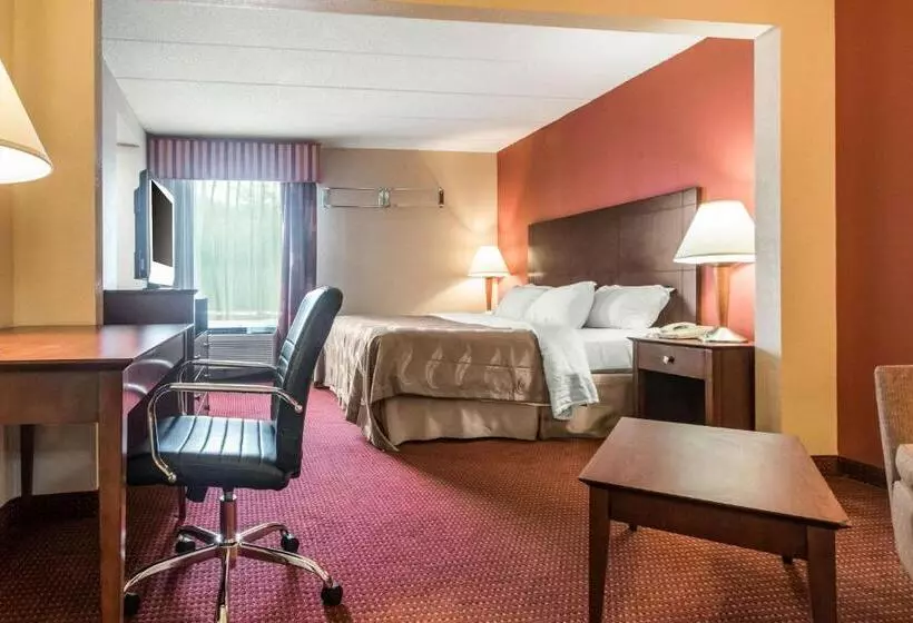 キングサイズベッドのスイートルーム, Quality Inn & Suites