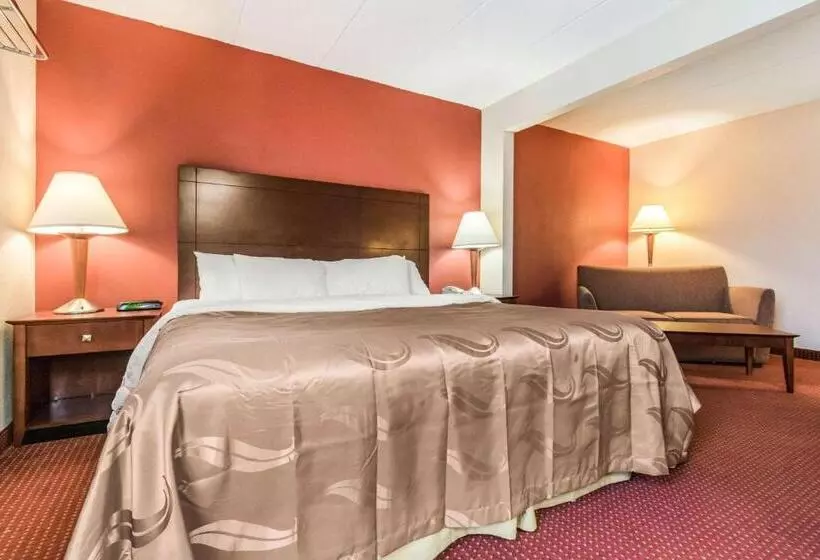 キングサイズベッドのスイートルーム, Quality Inn & Suites