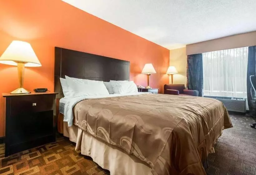キングサイズベッドのスイートルーム, Quality Inn & Suites