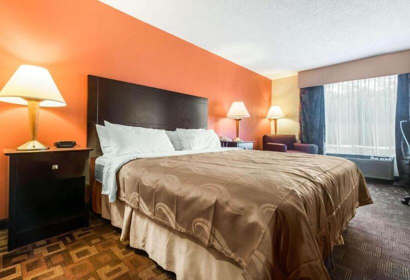 스탠다드 룸 킹사이즈 침대, Quality Inn & Suites