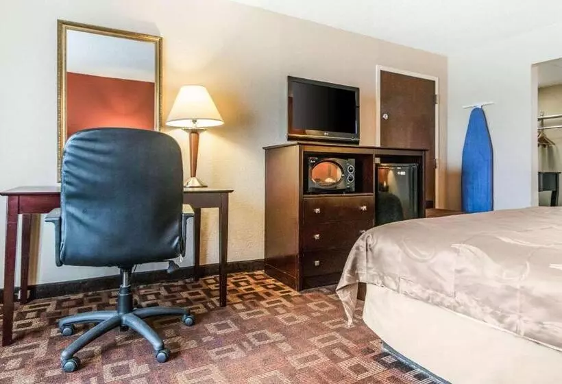 キングサイズベッドのスタンダードルーム, Quality Inn & Suites