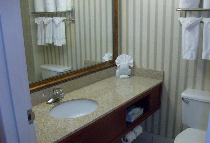 キングサイズベッドのスタンダードルーム, Wingate By Wyndham Kansas City