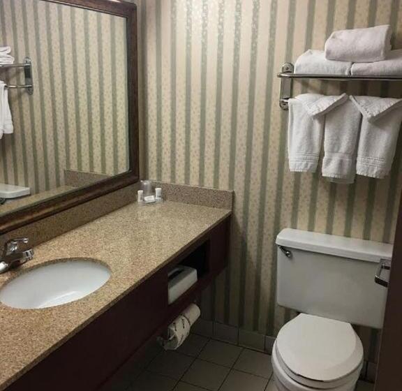 身障者適用キングサイズベッドルーム, Wingate By Wyndham Kansas City